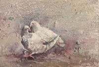 Jamal, 12 X 18, Oil on Canvas, Pigeon Painting, AC-JML-007